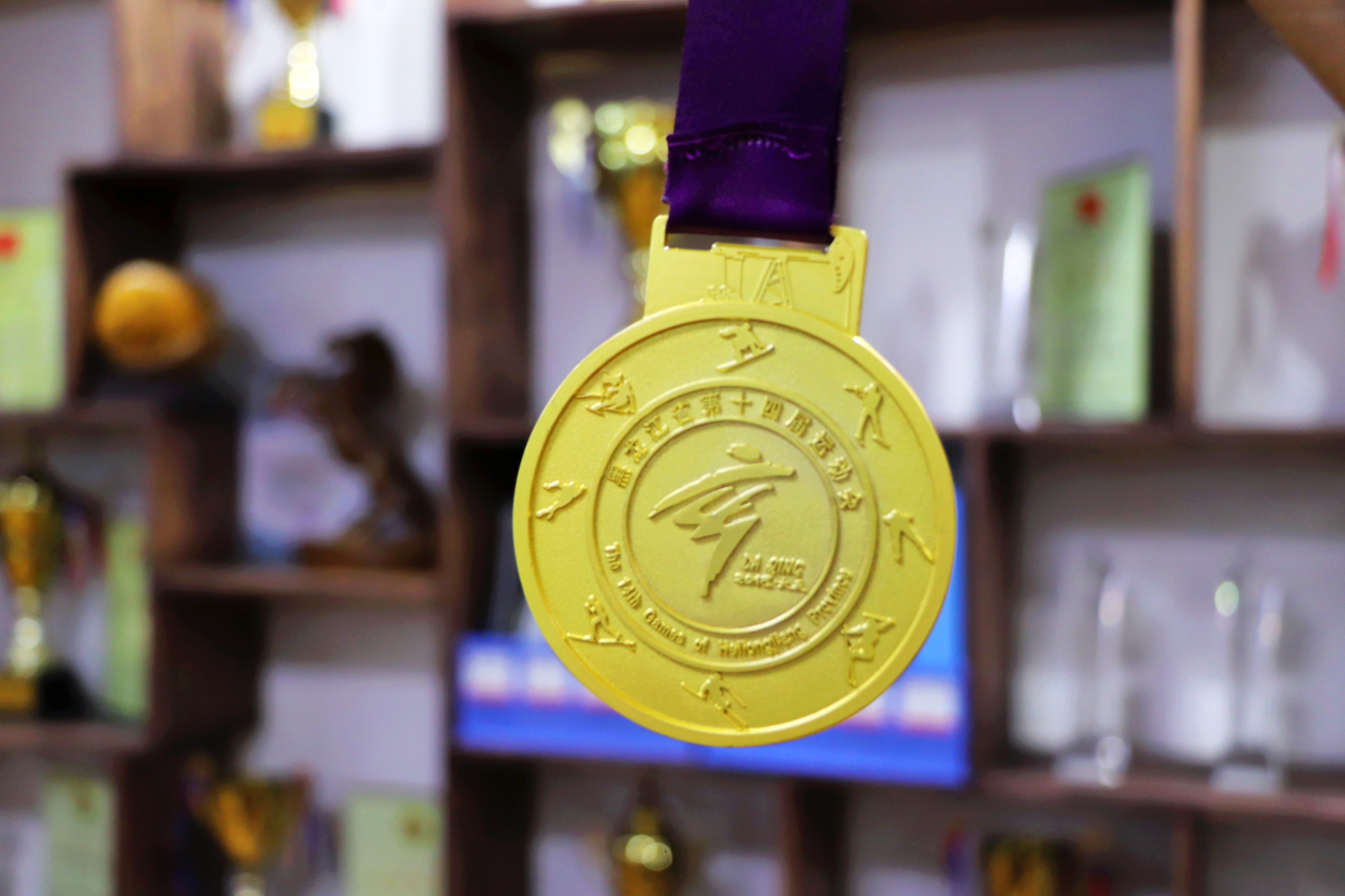 江西省第十六届运动会高校散打组,江西省第16届省运会武术散打高校