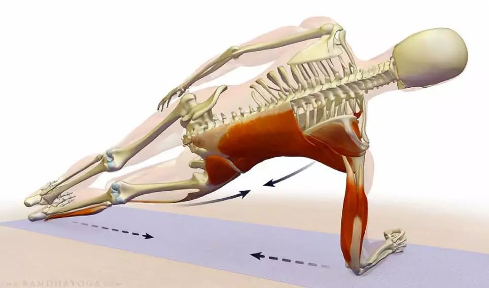 5个平板支撑核心动作你值得拥有,核心强化平板支撑