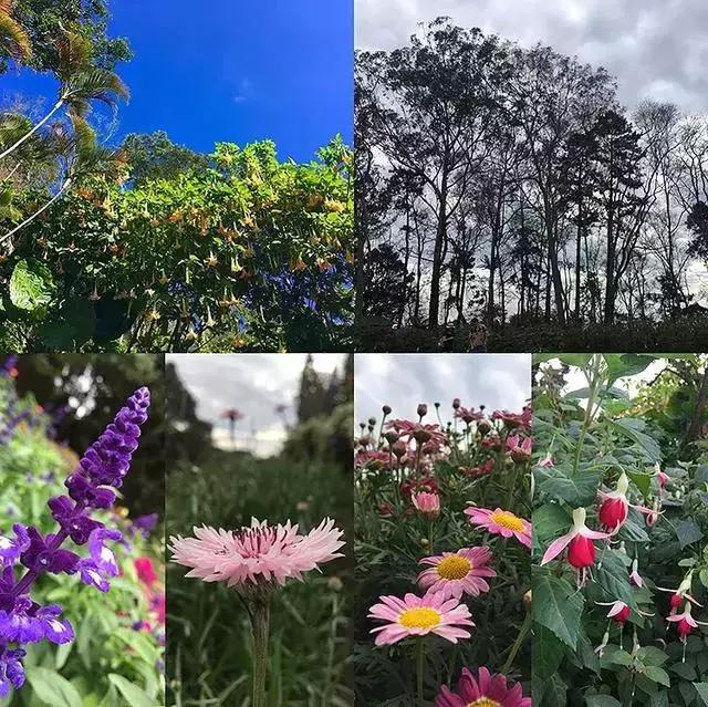 清迈亲子旅游注意事项,清迈亲子旅游美食