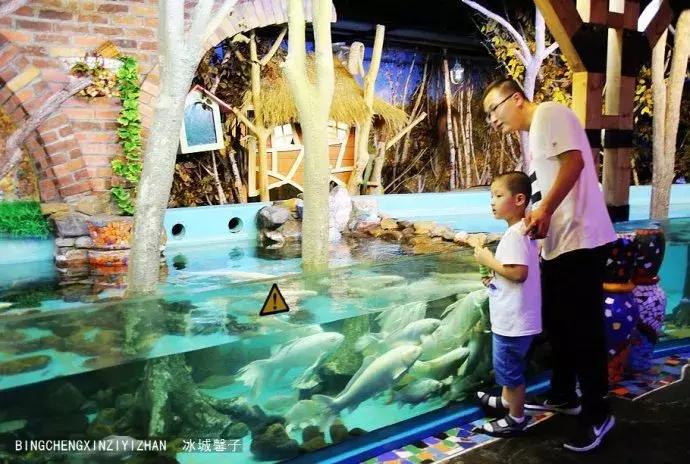 哈尔滨极地公园极地馆时间,哈尔滨极地公园和极地馆区别