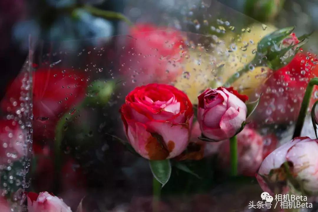 佳能ef70-200mmf4和2.8不防抖,佳能ef70-200f4is参数