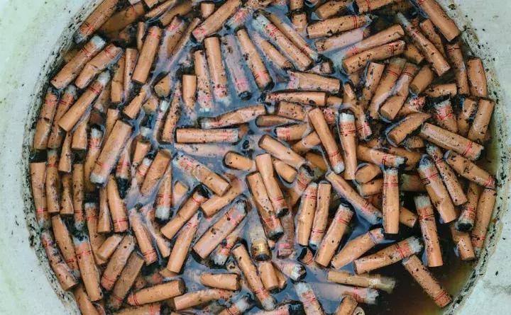 这些小东西不赶紧杀，一夜把花全啃成猪头，肠子都要悔青了！