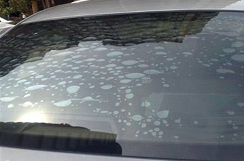 新手贴膜用哪种膜好,新手贴膜如何选膜