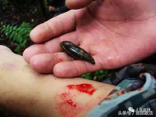 西藏军人偷偷回家感人视频,西藏老兵退伍催泪视频