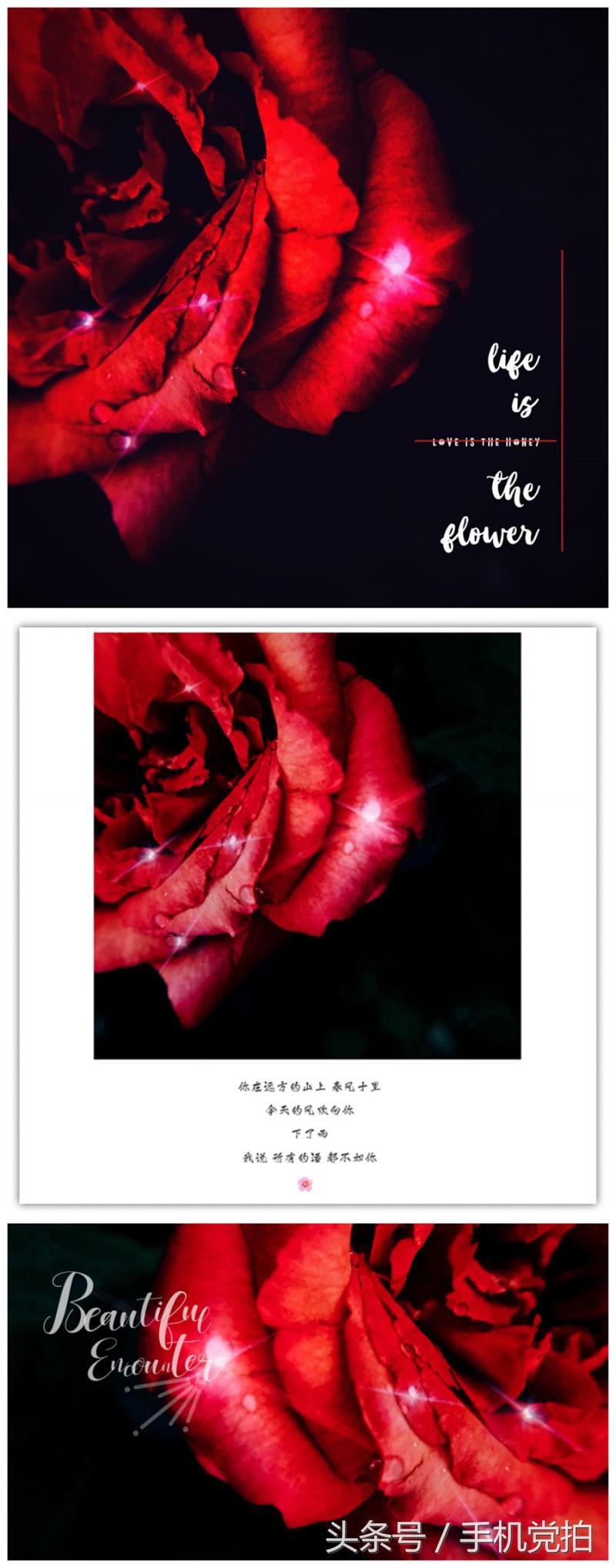 word怎么让图片印章衬于文字下方,图片上面加印章怎么浮于文字上方