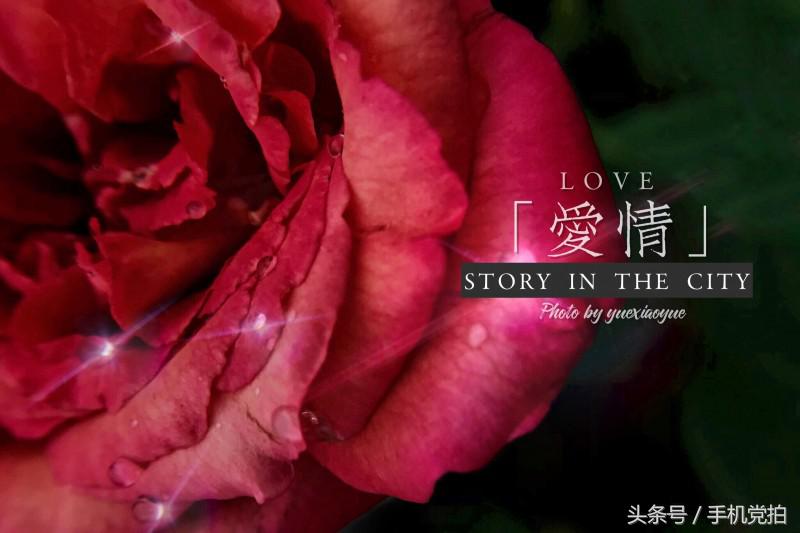 word怎么让图片印章衬于文字下方,图片上面加印章怎么浮于文字上方