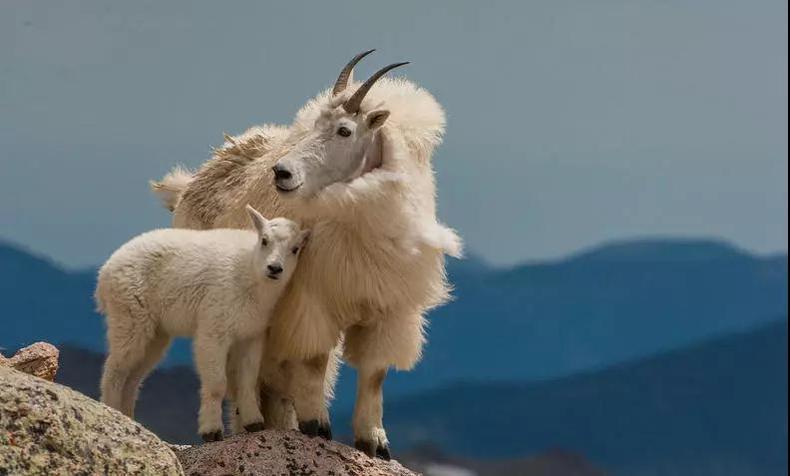 你对身边事物的误解,你对其他行业的误解