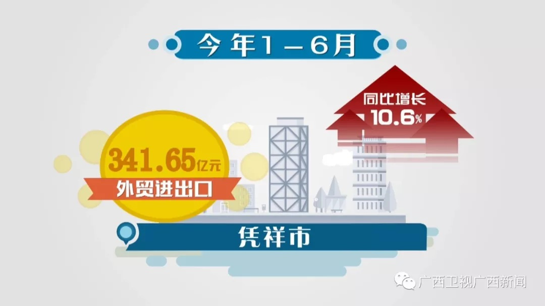 凭祥口岸2020年商品出口占比,凭祥畅通绿色通道口岸繁忙而有序