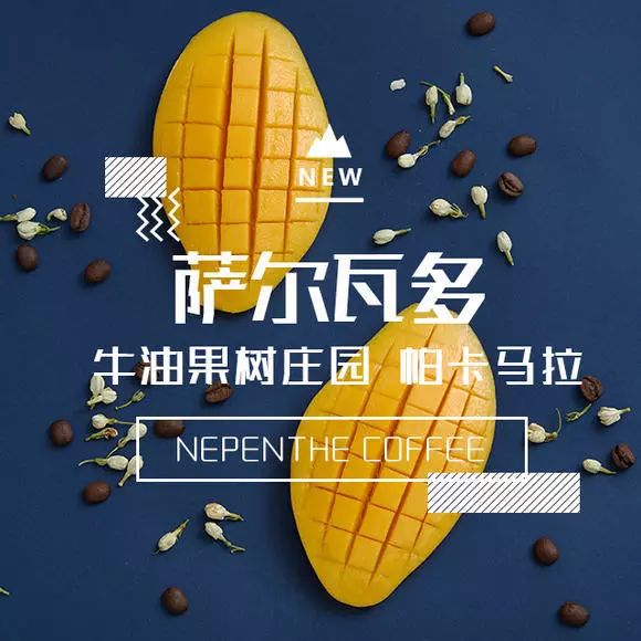 爱的味道，是来自墨尔本的咖啡味道｜凡仕