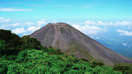 爱的味道，是来自墨尔本的咖啡味道｜凡仕