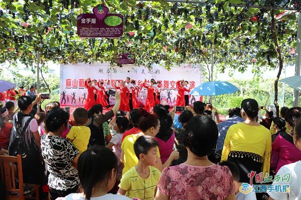 竺君灿:小小葡萄干成大产业农田变公园玩转高科技+农业