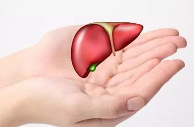 总胆汁酸高病理和生理怎么鉴别,咨询一下总胆汁酸正常值是多少