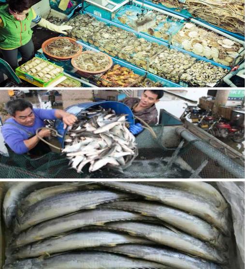 长春水果蔬菜批发市场价格便宜的,长春十大食品批发市场