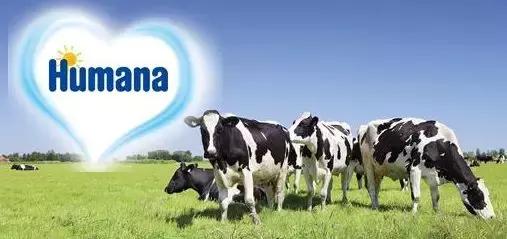 德国知名品牌企业,德国高端制造业十大排名