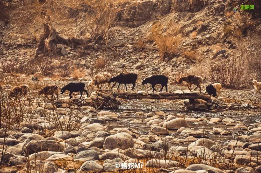 媲美川藏线的独库公路,能媲美独库公路的另一条小众公路