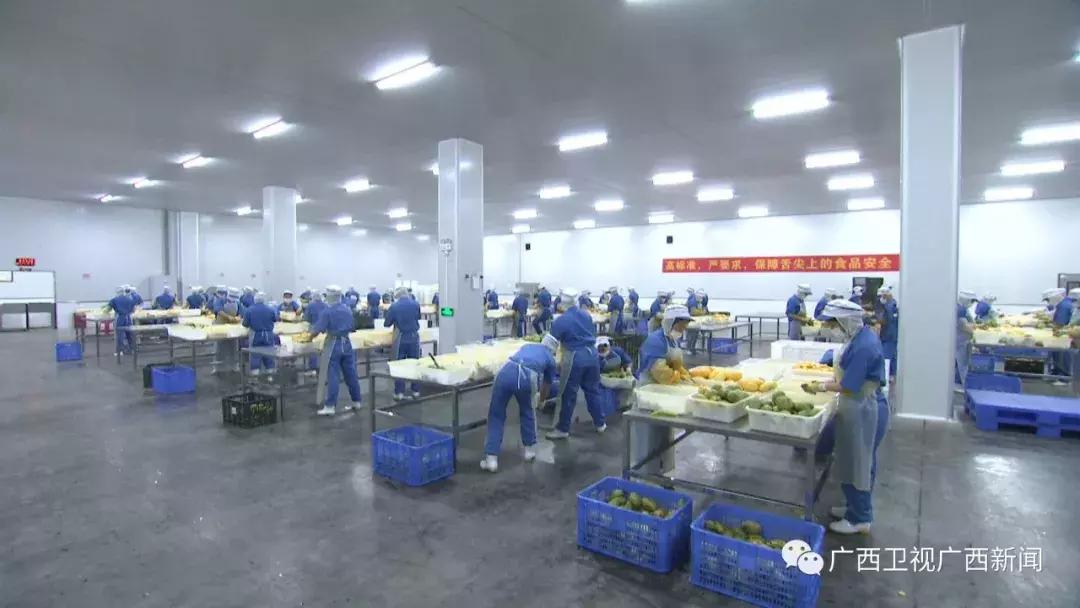 凭祥口岸贸易进出口总额,凭祥畅通绿色通道口岸繁忙而有序