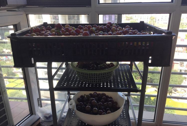 自酿葡萄酒怎么判断葡萄酒坏掉了,葡萄酒怎么酿家庭版