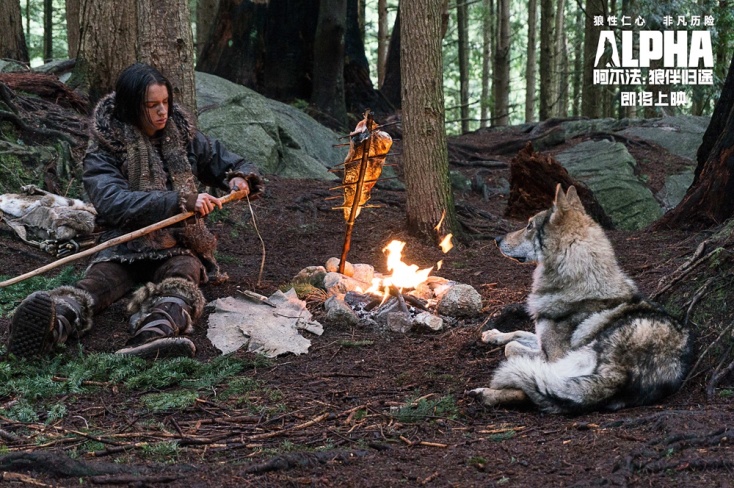 九月将至,九月将至秋意渐浓