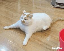 onedrive同步速度太慢,onenote与onedrive同步