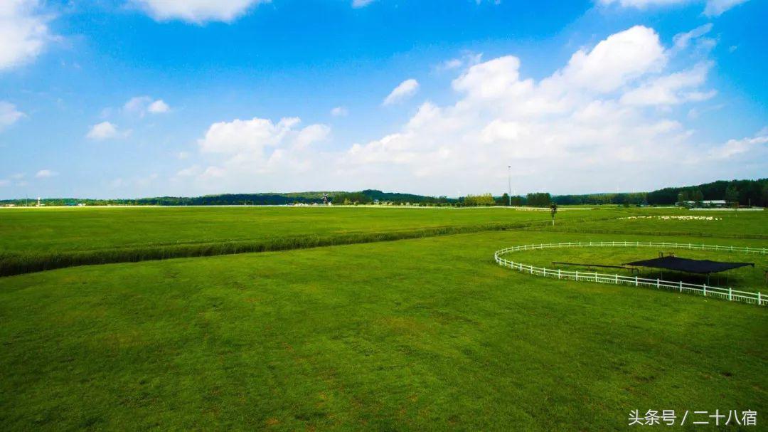 陈柏霖一个人的旅行,陈柏霖花少完整版视频