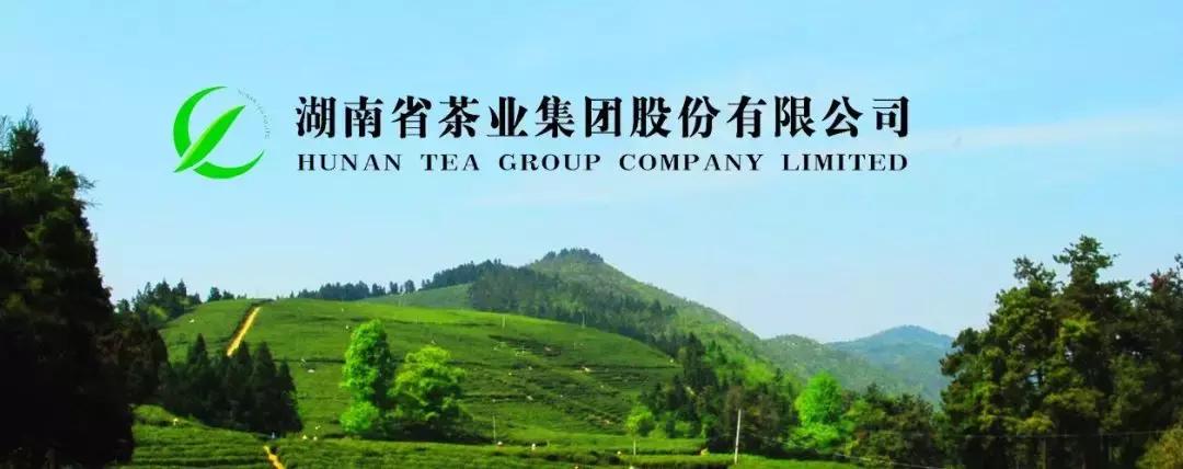 湖南千亿茶产业,湖南茶业产业发展现状