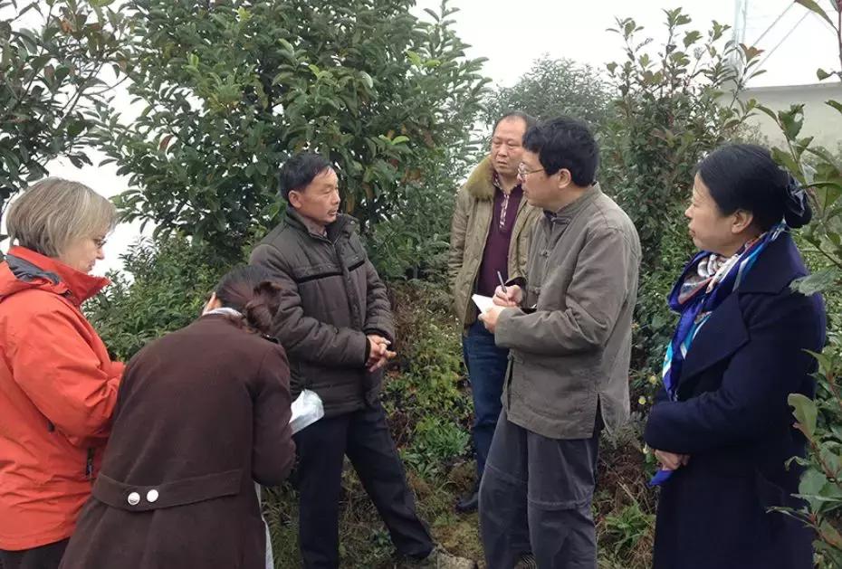 湖南千亿茶产业,湖南茶业产业发展现状