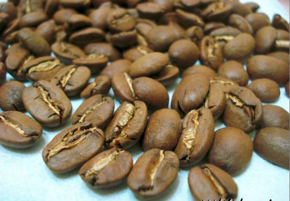 萨尔瓦多是一个怎样的国家,萨尔瓦多是什么国家