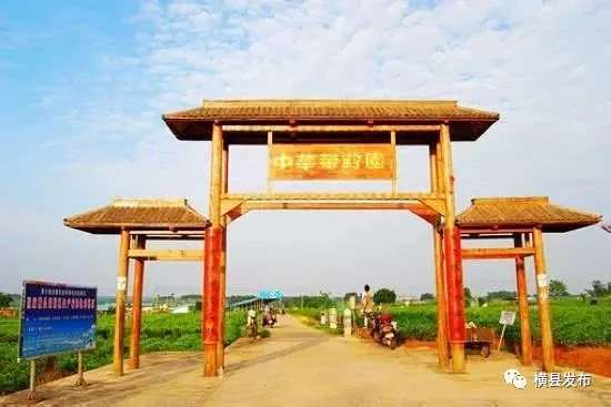 骞胯タ妯幙鑼夎帀鑺变埂瑙嗛,骞胯タ妯幙鑼夎帀鑺变埂