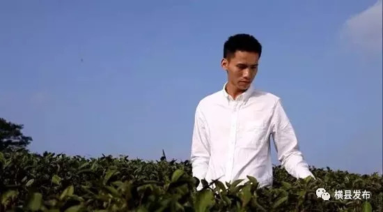 骞胯タ妯幙鑼夎帀鑺变埂瑙嗛,骞胯タ妯幙鑼夎帀鑺变埂