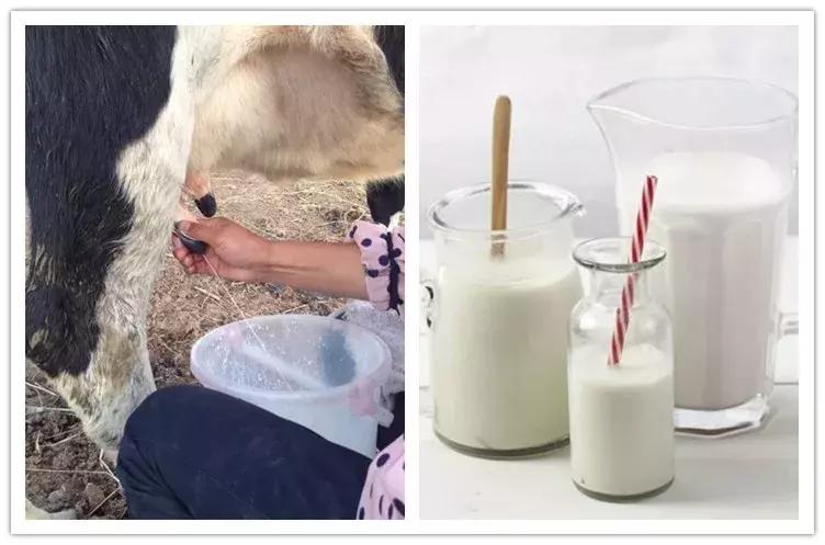 还原奶和鲜奶粉的区别,婴儿奶粉还原奶什么意思