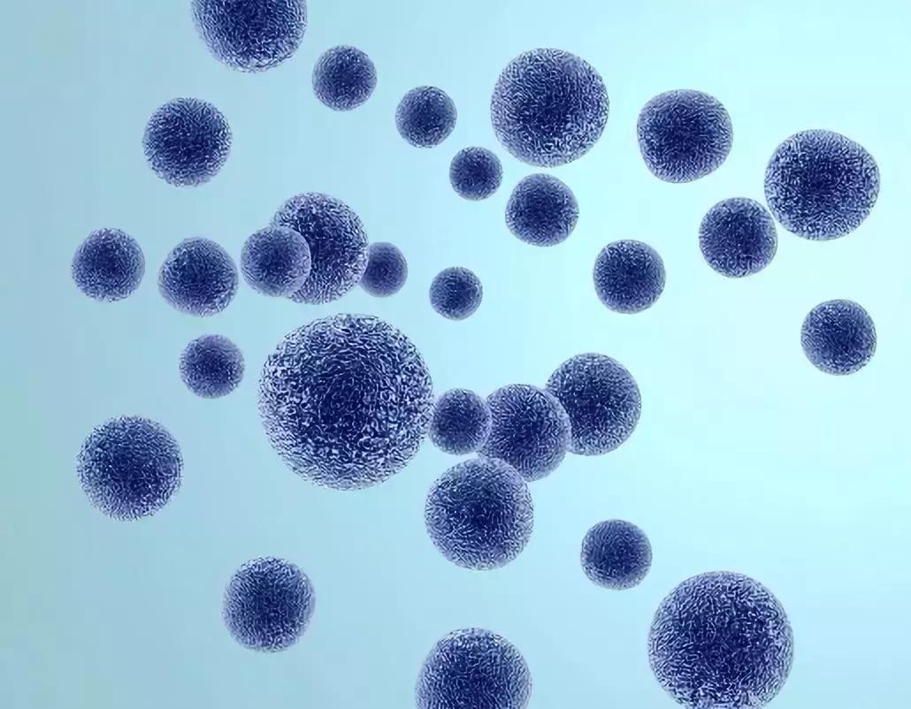 房间甲醛超标怎么快速除甲醛,住了几年房子甲醛超标有必要除吗