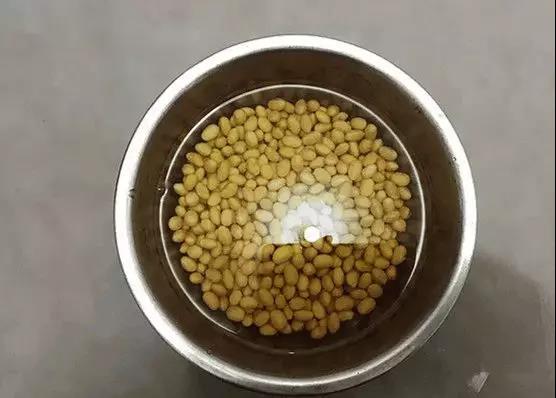 给花吃个大力丸，花盆全被撑爆了