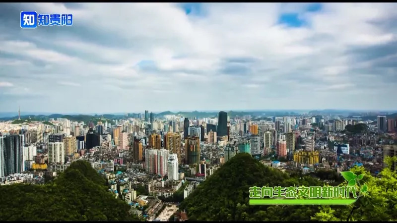 “百山治理”之后，我市这些山体都披上了绿装，有你常见到的吗？