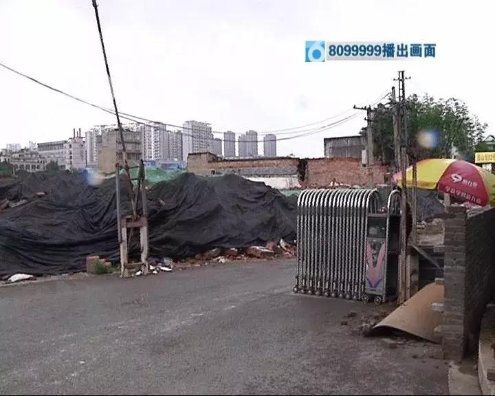 “去哪儿”有猫腻？8099999调查真相