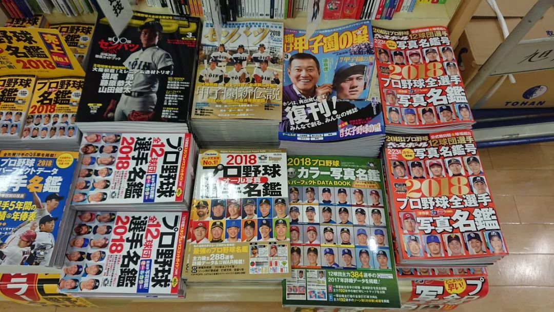 甲子园的感人故事,感动的甲子园真实故事