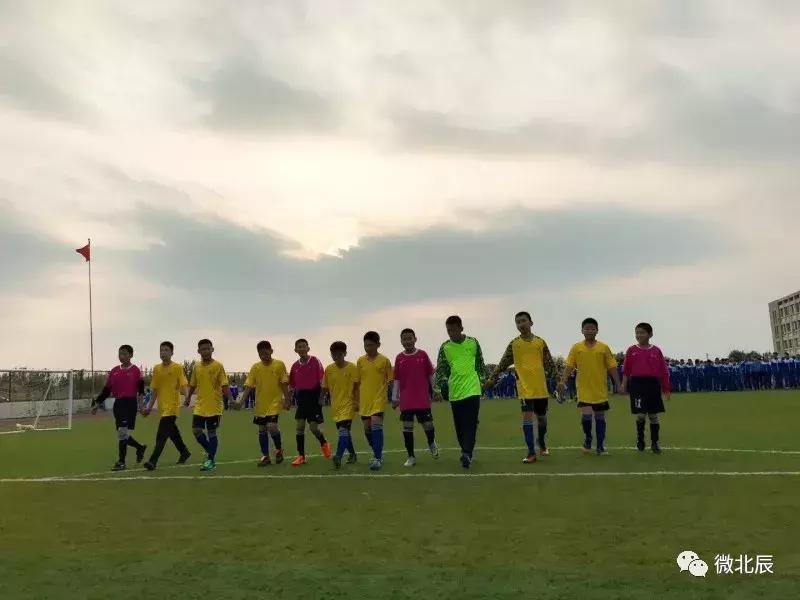 北辰区一共有几所大学,北辰有哪几个大学