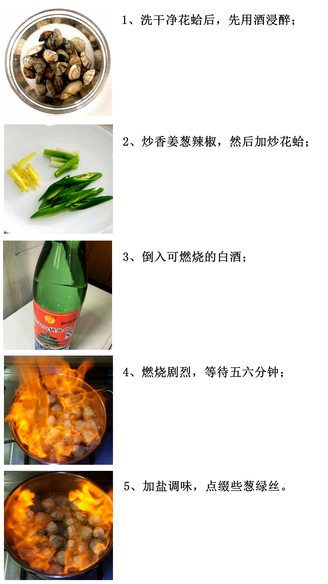 蛏子贝壳类海鲜,贝类海鲜有哪些毛蚶