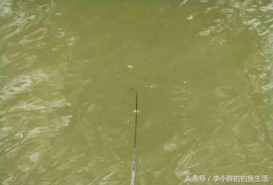 竿稍入水多少合适,竿稍入水还是不入水