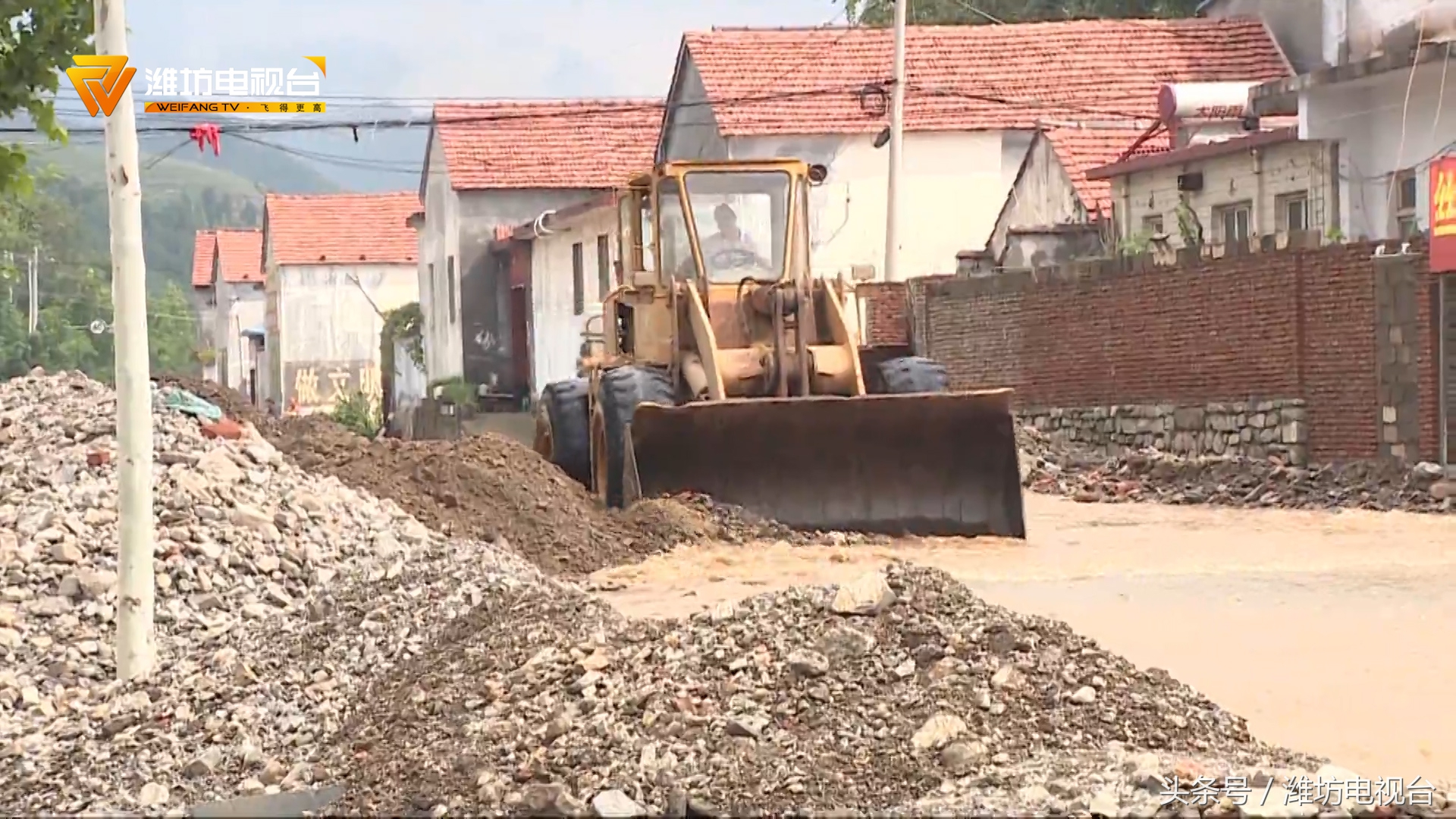 闈掑窞鎶楁椽鏁戠伨,闈掑窞鍏畨鎶楁椽鏁戠伨