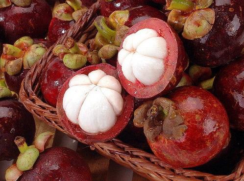 怎样挑选山竹才新鲜又好吃,山竹的果实是硬的还是软的