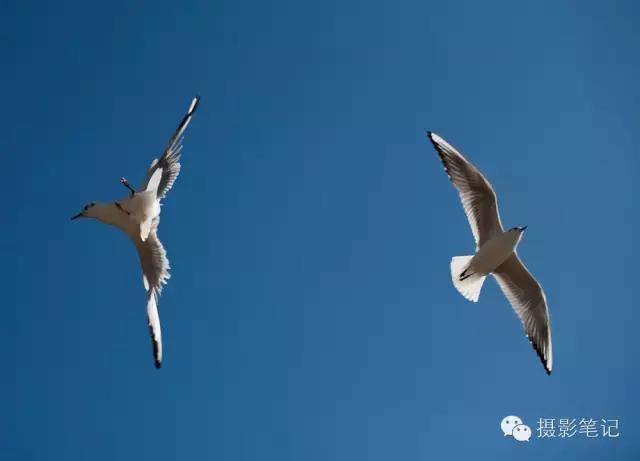华为手机拍摄视频抖动怎么解决,相机拍摄视频抖动如何处理
