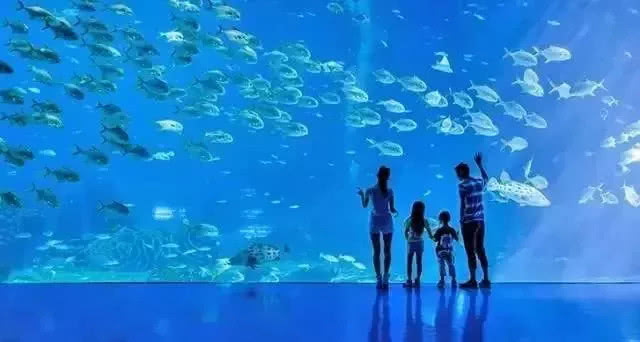 去澳门旅游拼团,去澳门必吃的料理