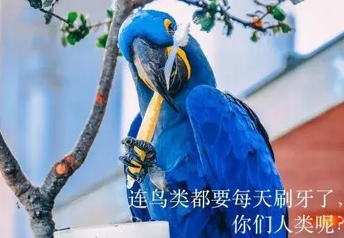 月子不刷牙用什么清洁牙齿,月子期间刷牙对牙齿有影响吗