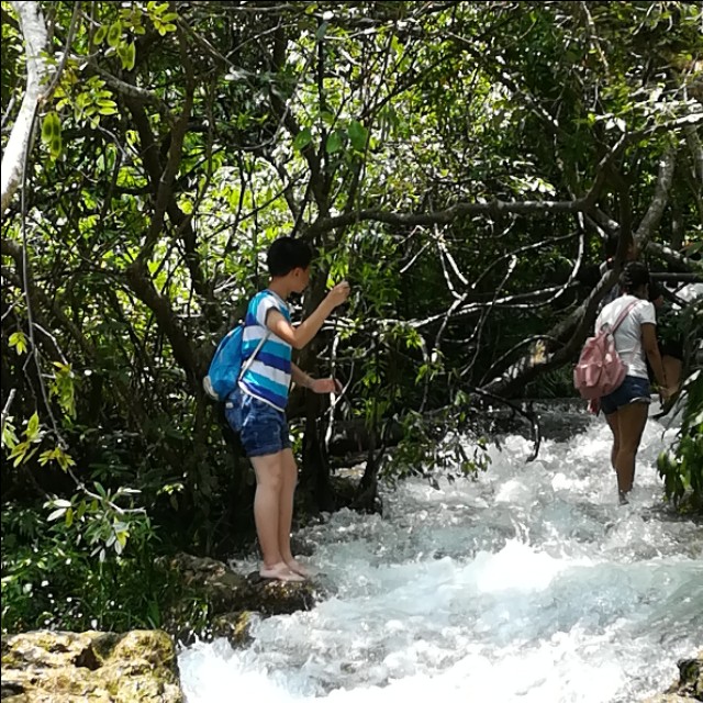 贵州自驾游旅游攻略自由行,贵州环省自驾旅游攻略