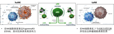 非特殊类型T细胞淋巴瘤,非霍奇金型t细胞淋巴瘤