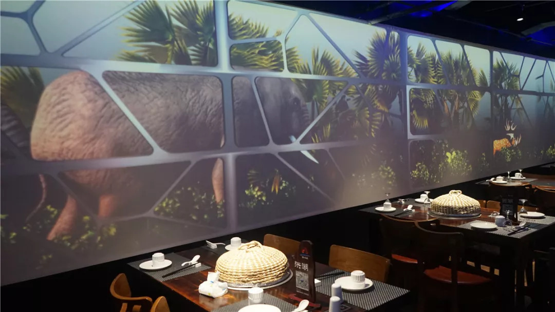 登上这艘神秘大船，体验24小时的时光穿越！