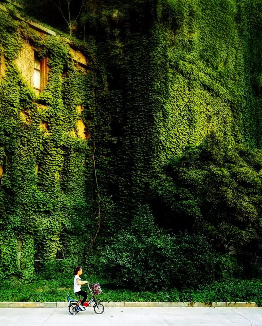 60后手机摄影发布的作品,60后手机摄影创作原声