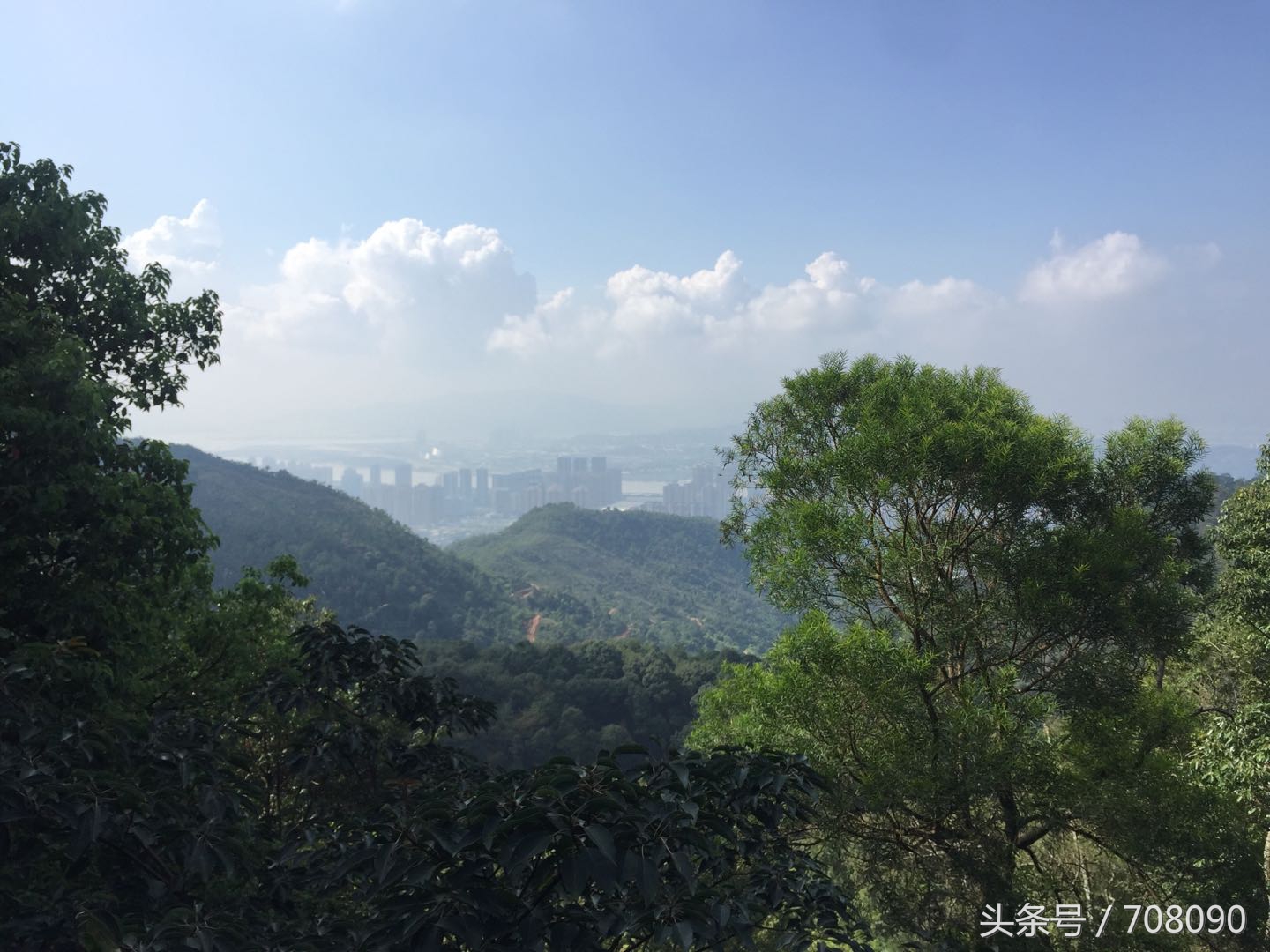 鼓山般若苑旅游攻略,鼓山般若苑网红景点