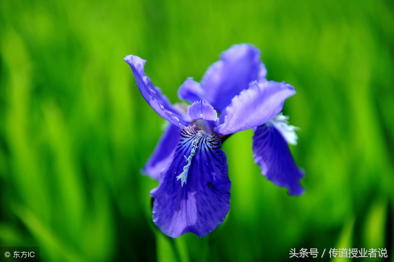 什么天什么地四字词语四年级上册,四年级上册描写人物心情四字词语