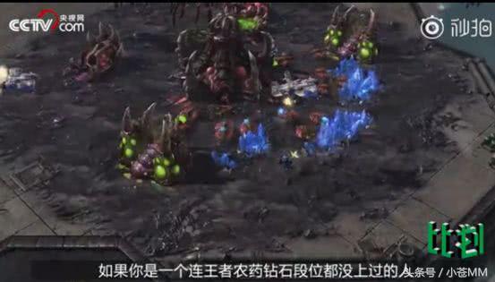 亚运会只需要记住两个男人：一个小胖子，一个眼镜理工男